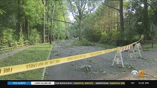 Tropical Storm Isaias Leaves Behind Dangerous Debris In New Jersey