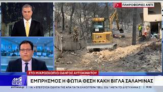 Kι άλλη πυρκαγιά στη Σαλαμίνα, και συγκεκριμένα στον Προφήτη Ηλία