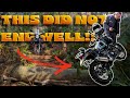 UK Green Lanes Gone Wrong! Royal Enfield Himalayan 411s vs Fallen Trees
