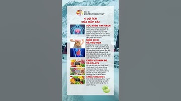 Bắp Cải: 4 Lợi Ích Khoa Học Cho Sức Khỏe - Lời Khuyên từ Bác Sĩ! | Y học Thể thao Starsmec