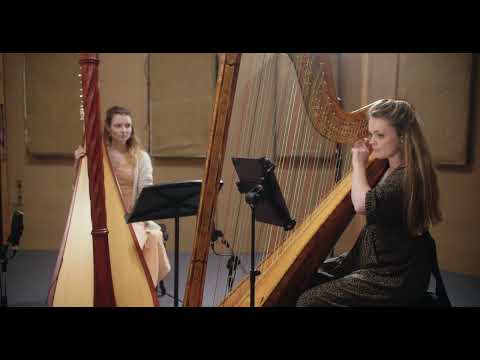 Odyssey: Gold - Amy Turk