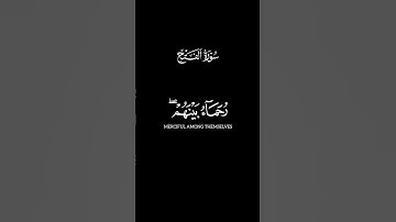 محمد رسول الله والذين معه | ياسر الدوسري | سورة الفتح