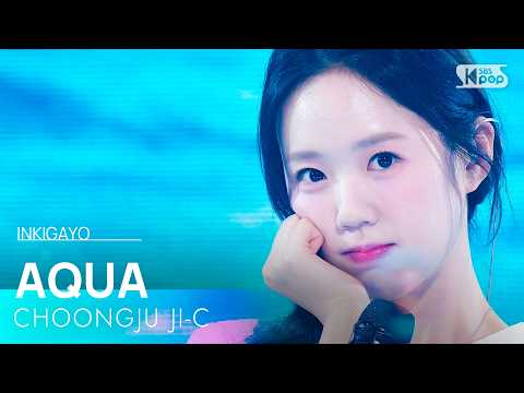 아쿠아 (AQUA) - 충주지씨 | SBS 260719 방송