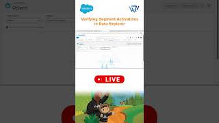 Verifying Segment Activations in Data Explorer | Salesforce Data Cloud Step-by-Step Tutorial