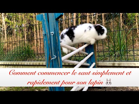 Vidéo: Comment Apprendre à Faire Un Saut De Lapin