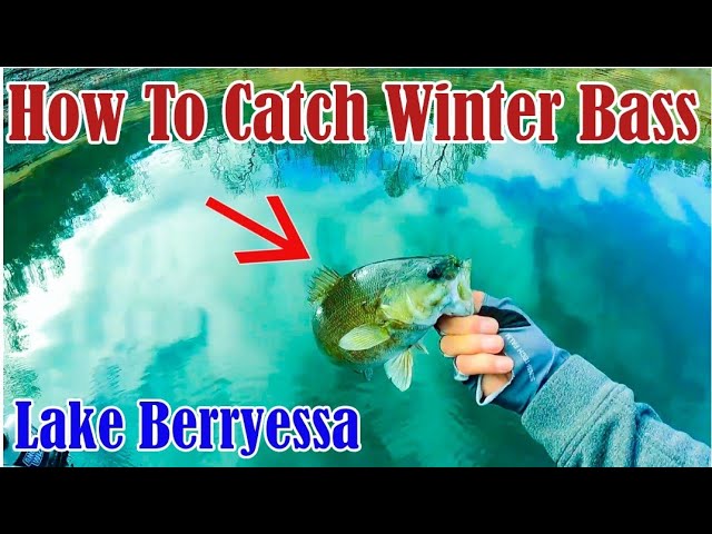 How to Fish Pencil Popper Topwater Baits for Big Bass 