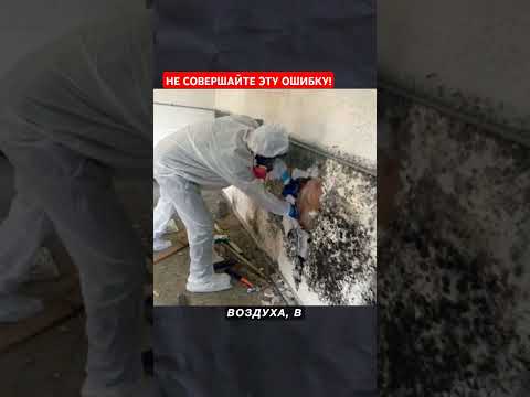 ОШИБКА из-за которой появляется плесень в доме #стройка #строительство #обзордома #дом #дача