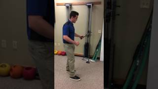 Multifidus Press