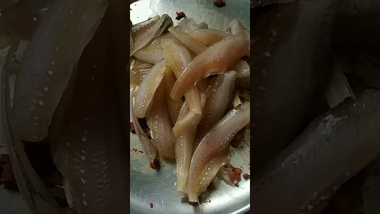 Fish Fry / #shorts / Fish recipes | Indian Mom