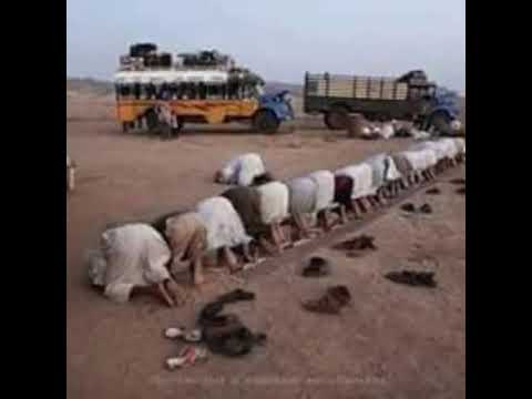 عليكم الله يا احباب اتلمو تعالو قراب