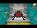 One day in the life of a Spider (part 2) - by Razzy Show