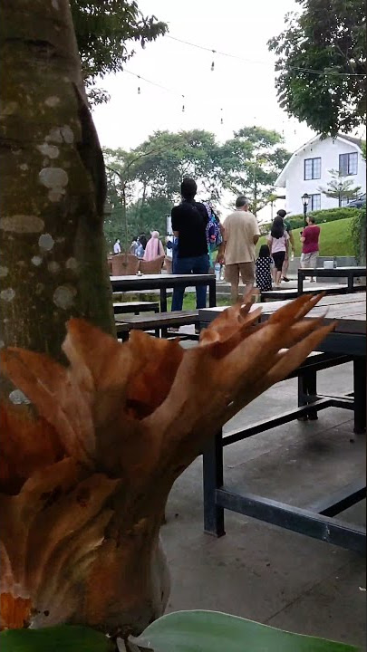 MELIHAT KEINDAHAN ALAM SENTUL BOGOR DARI CAFE RICHIE THE FARMERS #short