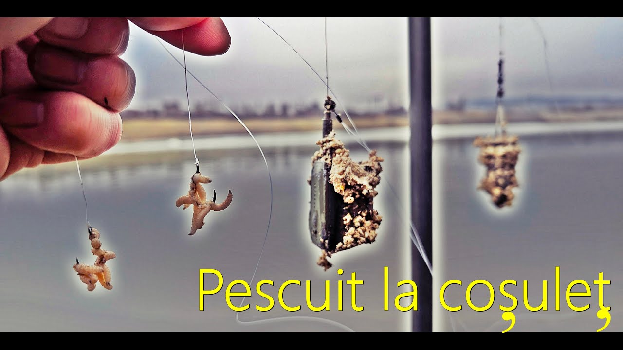 Фидерная/корзиночная рыбалка на реке Олт + азиатская техника!