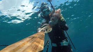 Atypical Ft. Lauderdale Spearfishing - Amazing Viz w/ Wahoo, Mystery Grouper, Squid, Snappers