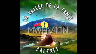 Video thumbnail of "VALLÉE DE LA TAM'S 2020 (Titre : MWAVIION )"