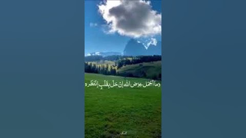تلاوه خاشعة🌸 ولقد راهو نزلة أخرى عند🌸 سدرة المنتهى 🌸