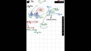 An Intuitive Understanding of Test-Time Training for LLMs