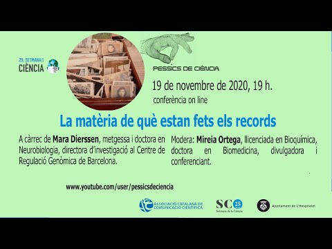 Vídeo: De què està fet un magatzem?