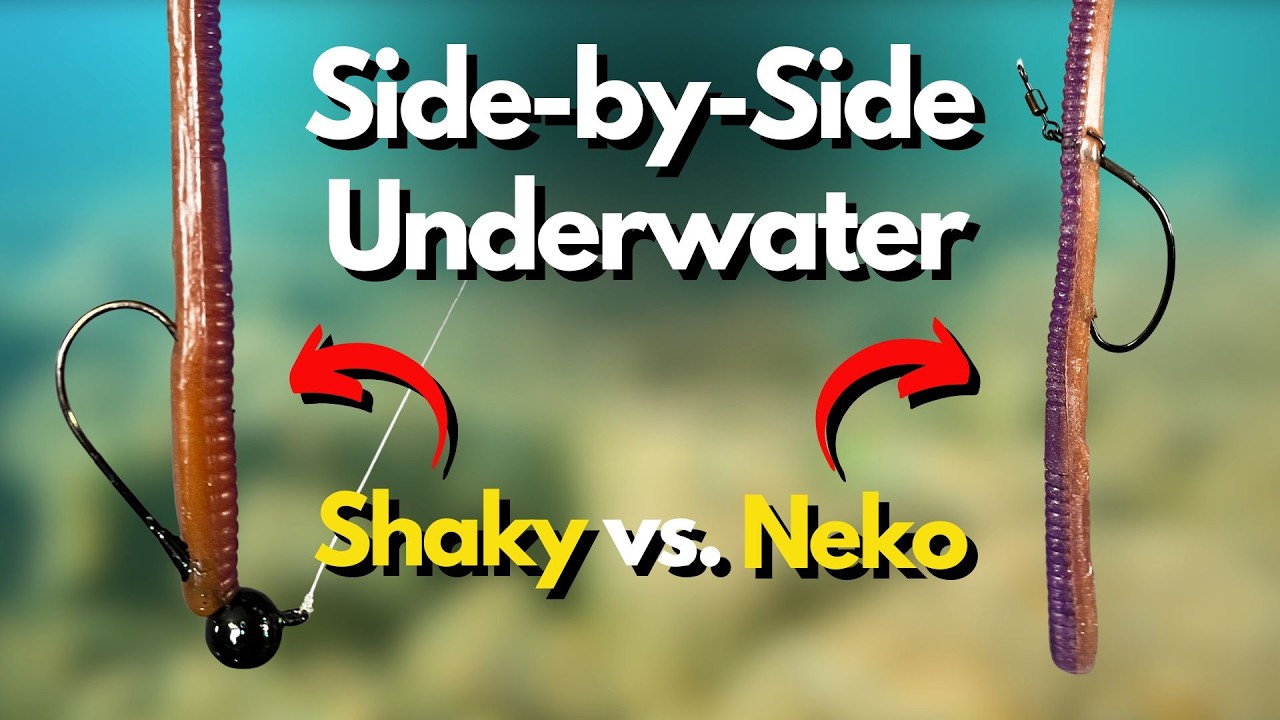 Neko vs Shaky Head: Underwater Look at What You NEED to Know