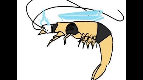 P-Ranking P-2 on Brutal Daily* until I get HRT (Day: 71)