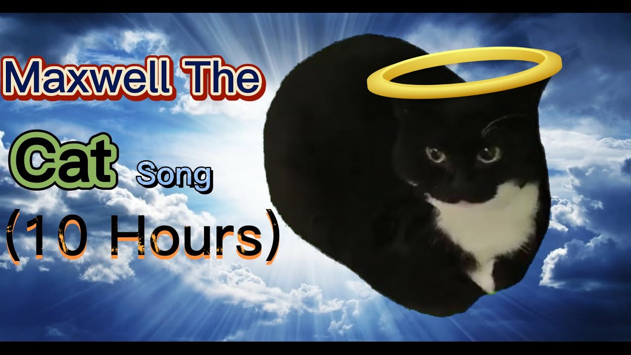 Maxwell The Cat Song Hours Youtube