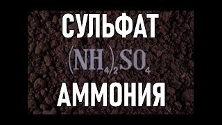 Сульфат аммония