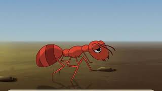 Class 6 The Ant Explorer