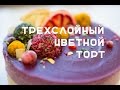 Трехслойный цветной СЫРОЕДЧЕСКИЙ ТОРТ