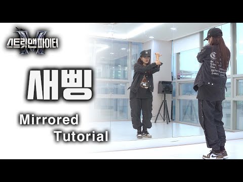 [Tutorial] 지코(ZICO) - 새삥(Feat.호미들) slow mirror 느린음악 거울모드