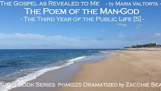 [AudioBook] Poem of ManGod/ Series 25/ Third Year of Public Life [5]/ Messiah's Farewell to Judea