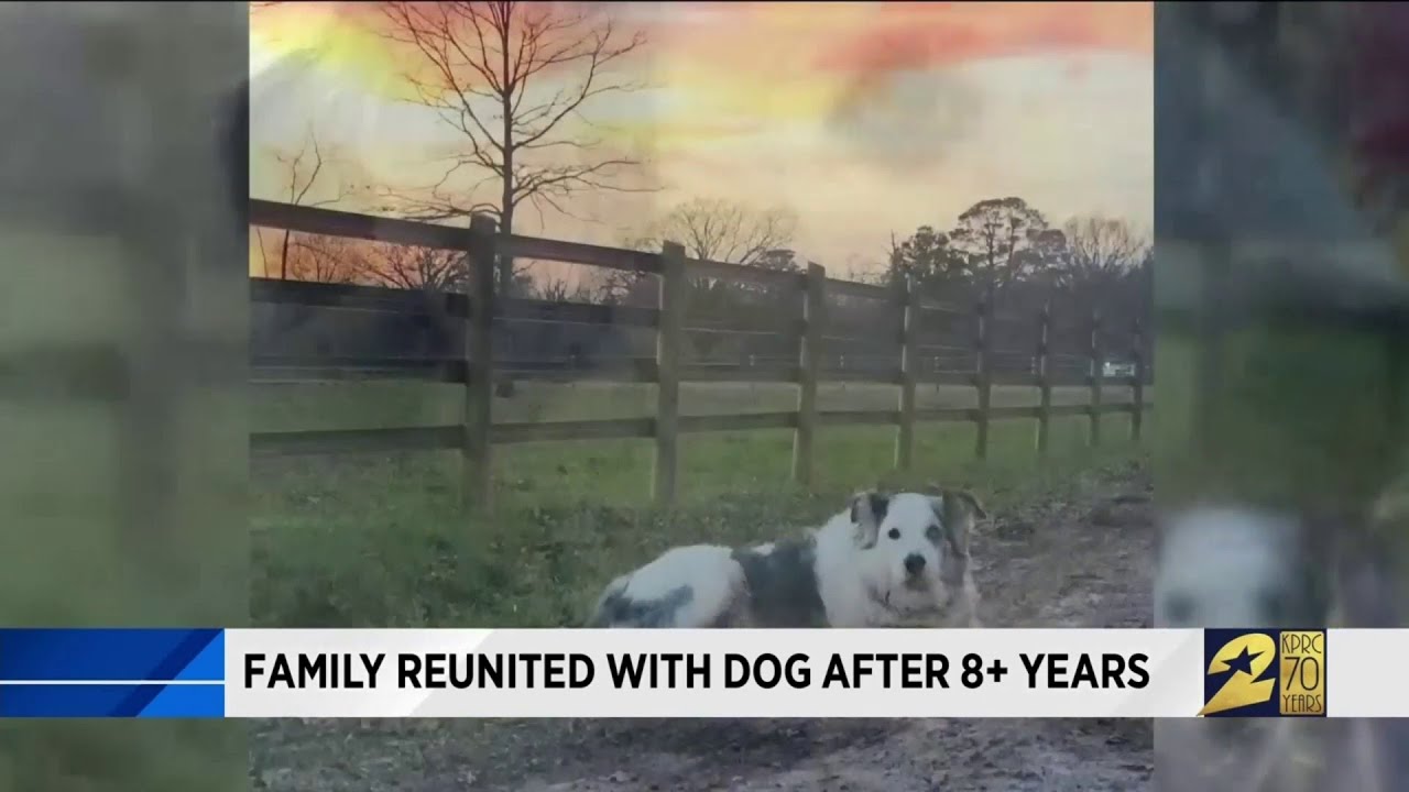 Family reunited with dog after more than 8 years - YouTube