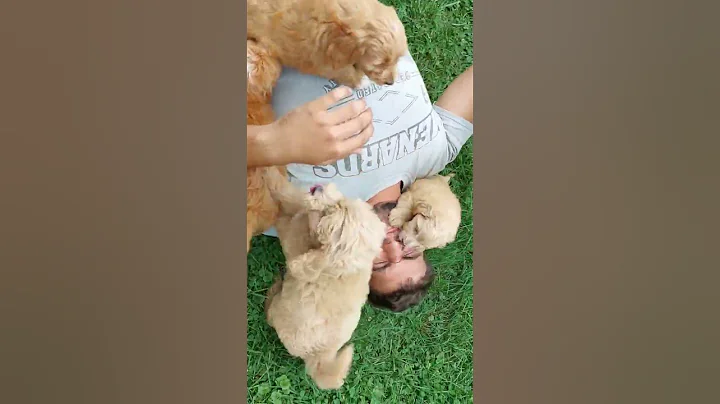 attacking one of our favorite peoples