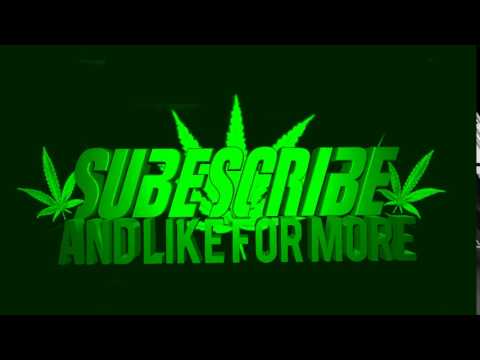 Q \u0026 A  იწყება