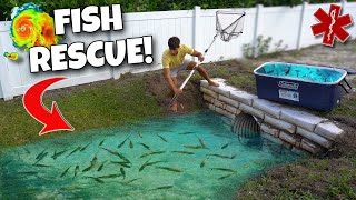 Rescuing FISH From HURRICANE FLOOD!!