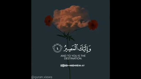 سورة الممتحنة رَبَّنَا عَلَيْكَ تَوَكَّلْنَا وَإِلَيْكَ أَنَبْنَا وَإِلَيْكَ الْمَصِيرُ (4)
