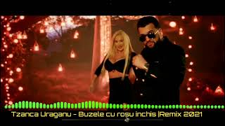 Tzancă Uraganu❌ buzele cu roșu închis❤🔞Remix🧨DJ ALEX REMIX HIT 2021