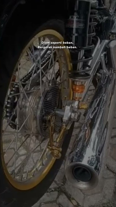 Story wa rx king