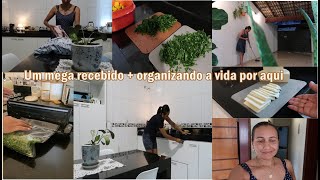 Ganhei uma seladora á vácuo, comprei o buffet, não preciso copiar ninguém, limpeza e organização