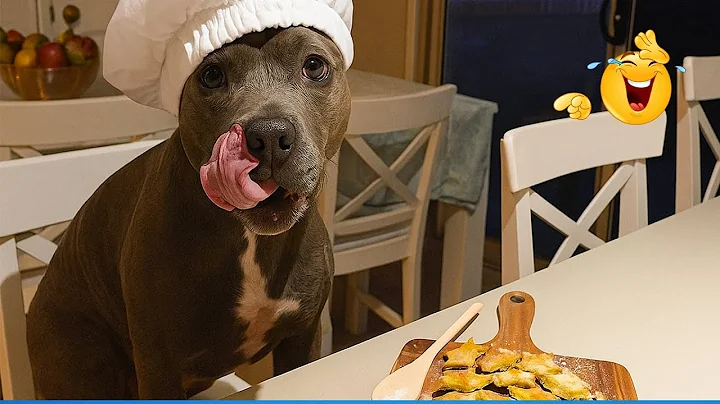 Watch the video about Super Funny Animal Video Clips 😹🐶 The Funniest Cat Dog Moments Compilation 🐾