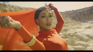Dj Ndiyo - Ndiyo Ft. Sino Msolo & Tony Duardo (Official Video)