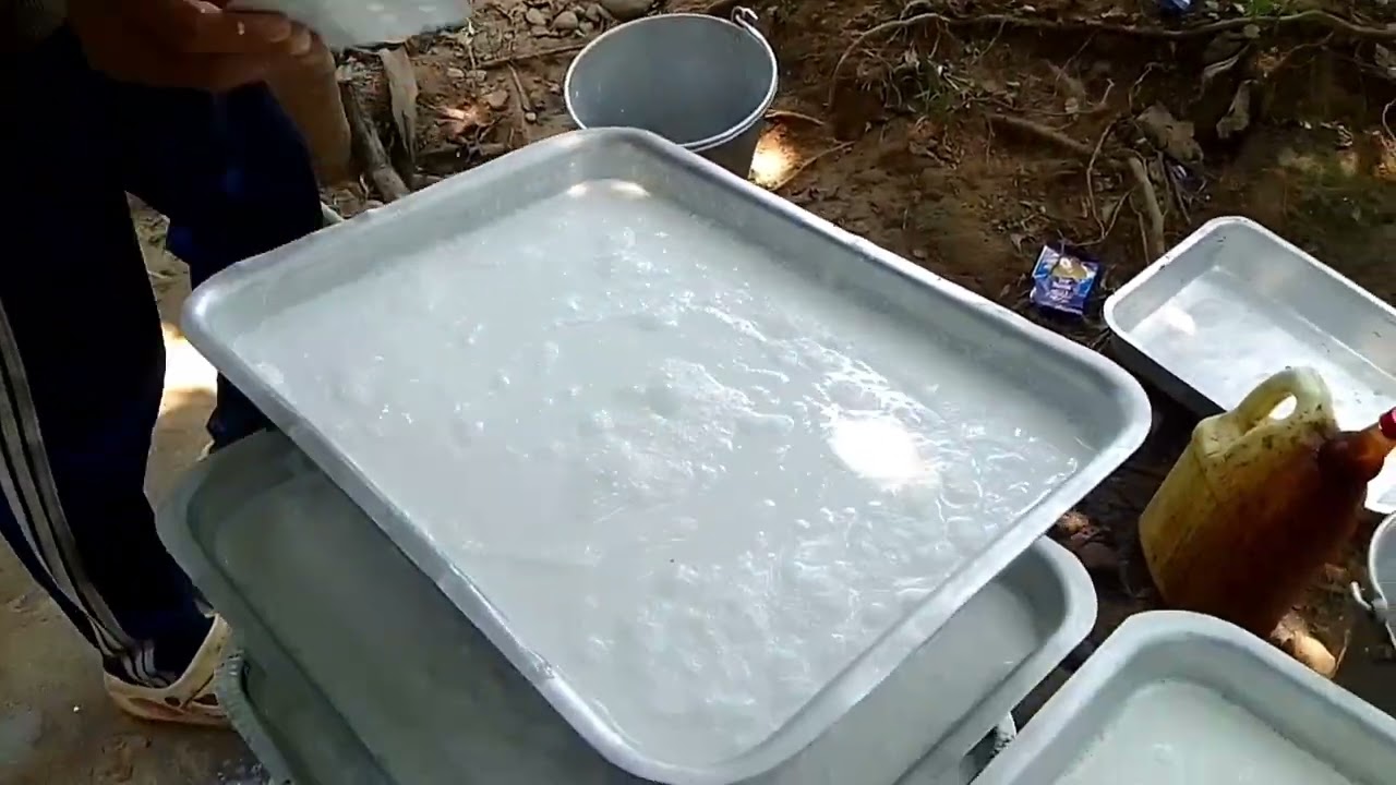 Rubber tariani kandikgipa video