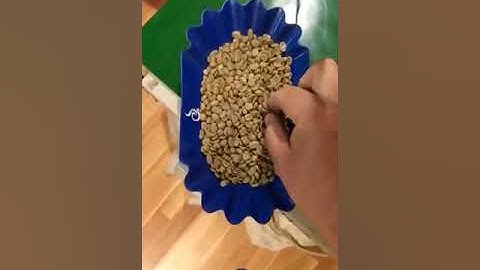 Coffee Bean Color Sorter 2-To sort green coffee beans with mini color sorter
