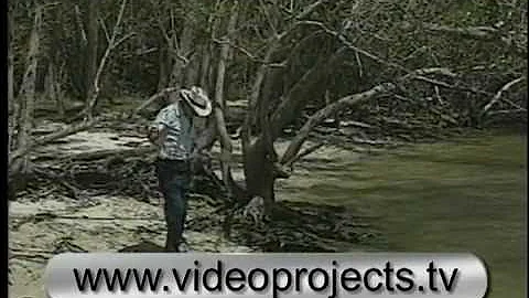 Everglades legend Totch Brown (1920-1996)