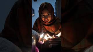 Download Lagu Cari kutu kucing😂 MP3