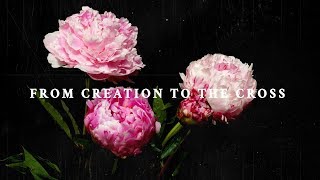 Creation to the Cross | Joseph Prince