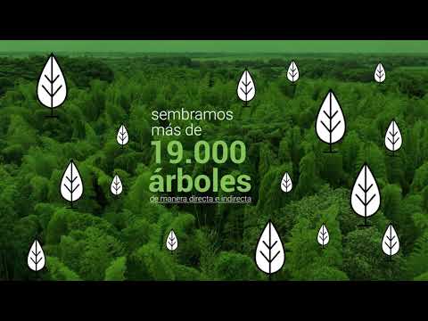 Somos compromiso desde 1918