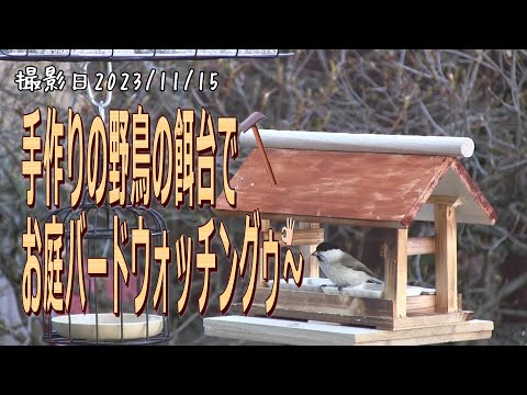 竹ひごで作ったシジュユカラの餌台 300X300X300mm 楽天市場