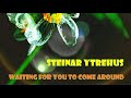 Steinar Ytrehus - Waiting for You to Come Around