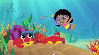 Kid Experiments: Rock Pools | Te Reo Māori | Darwin and Newts