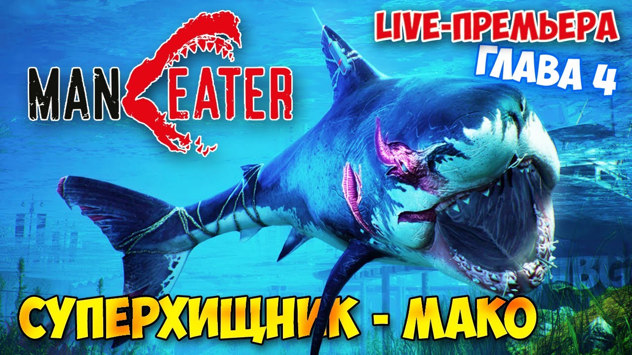 охота на супер хищника акула